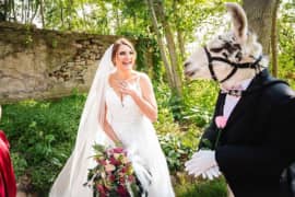 Maison Albion - Wedding Venue - Your Wedding Your Way